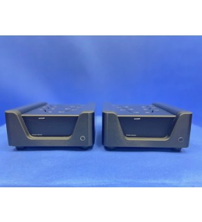 Wyred 4 Sound M Amp  Monoblocks