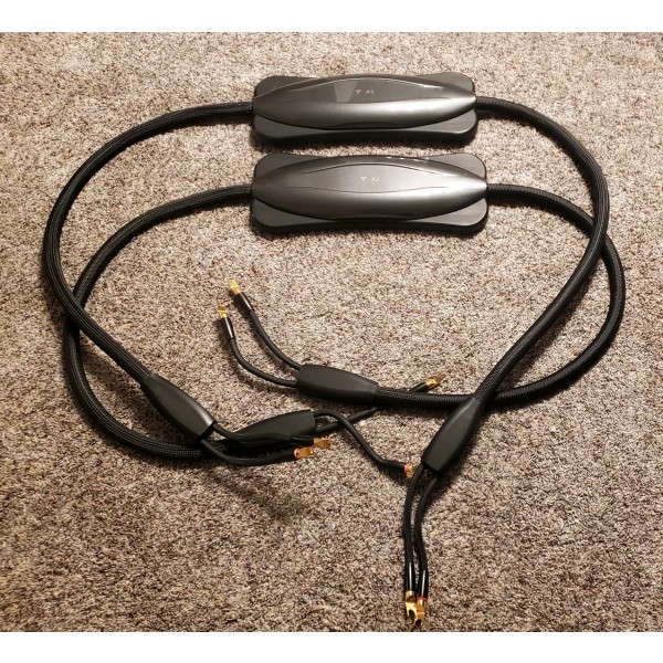 Transparent Reference XL Generation 6 8' pair