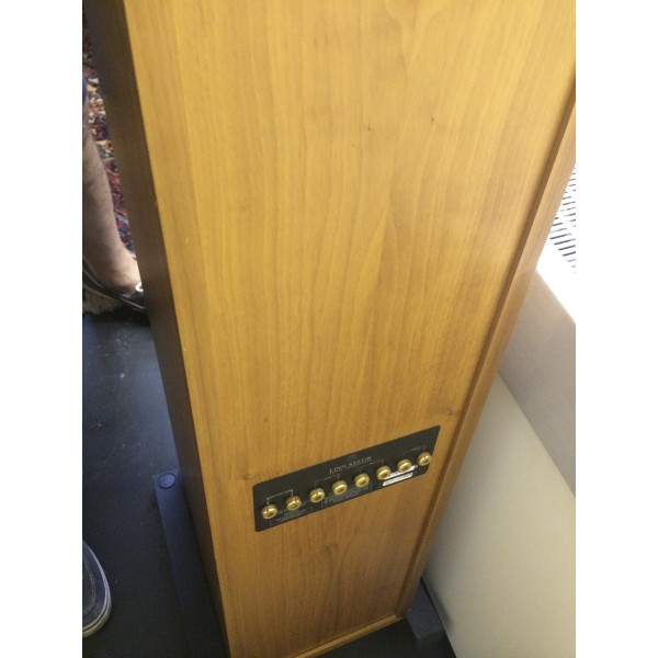 linn keltik speakers