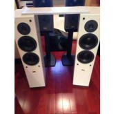 Dynaudio surround system, 